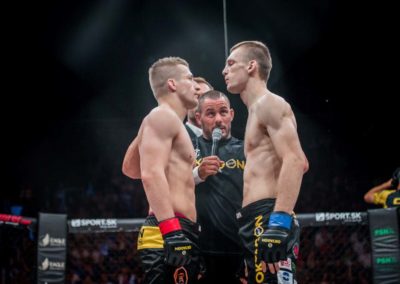 David Kozma, MMA